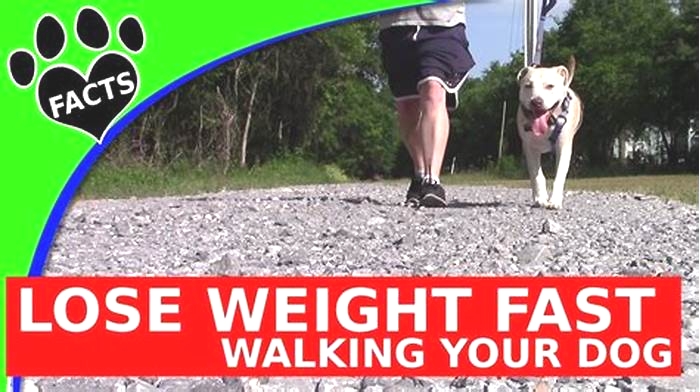 Will walking my dog help it lose weight?